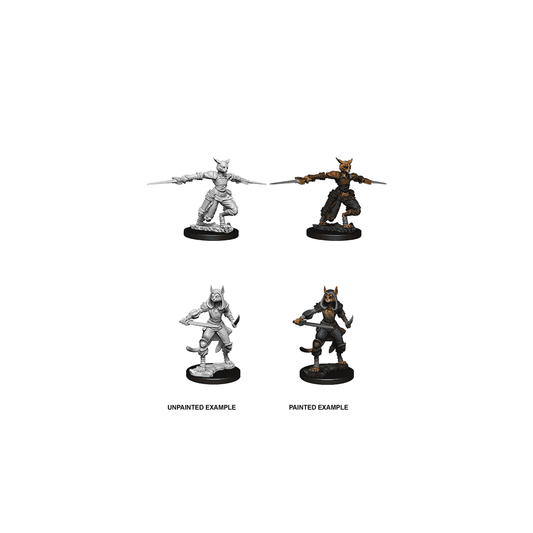 Tabaxi Rogue - Plastic Miniature