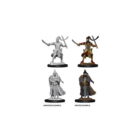 Elf Paladin - Plastic Miniature