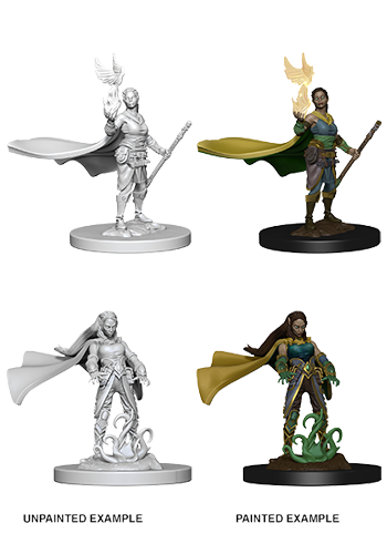 Elf Druid - Plastic Miniature