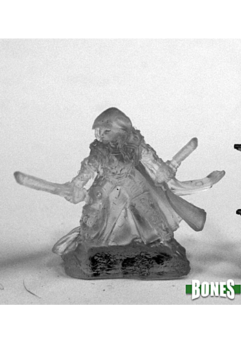 Invisible Rogue - Plastic Miniature
