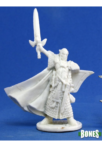 Turanil, Elf Paladin - Plastic Miniature