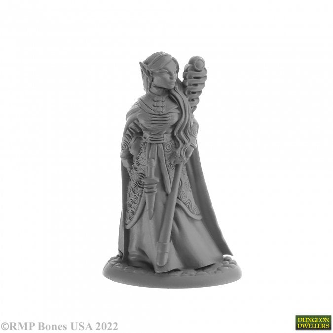 Anthanelle, Elf Wizard - Plastic Miniature
