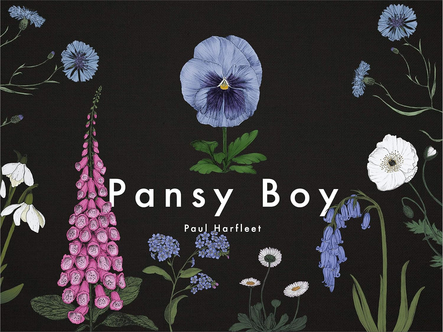 Pansy Boy HC GN