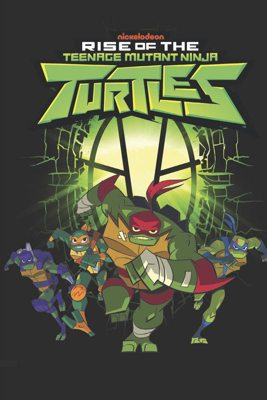 Four humanoid turtles wearing masks in purple, orange, red, and blue, run forward. Behind them, a green symbol cracks the darkness around it, letting light glow through.
