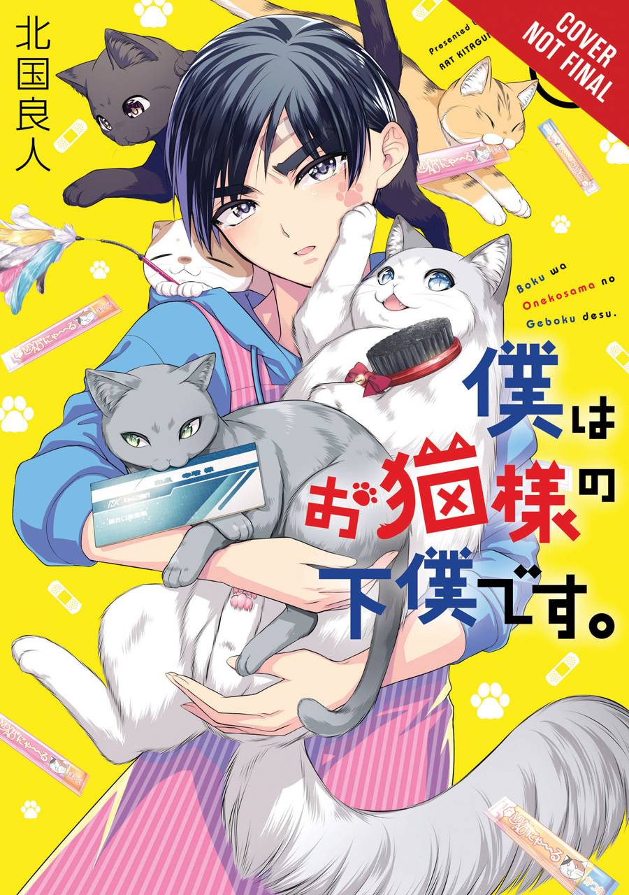 A young man with dark hair is wearing a light blue hoodie with a striped apron over it. He is cradling multiple cats while others climb on his shoulders. The cats carry objects like toys and hairbrushes.