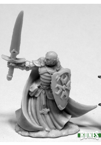 Sir Malcolm, Templar Lightbringer - Plastic Miniature