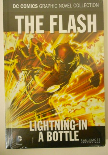 The Flash: Lightning In A Bottle HC
